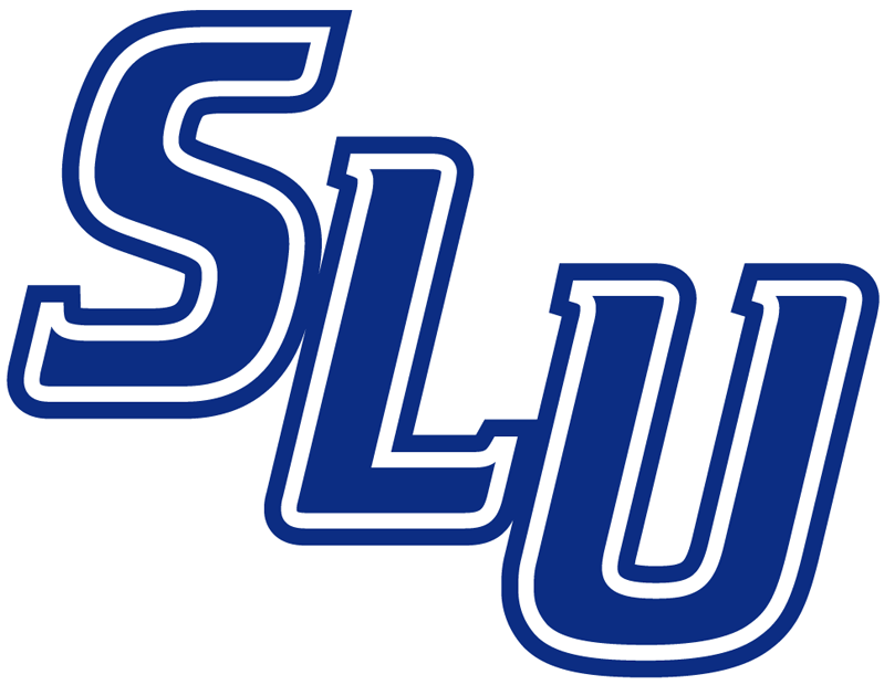 Saint Louis Billikens 2002-Pres Wordmark Logo t shirts iron on transfers